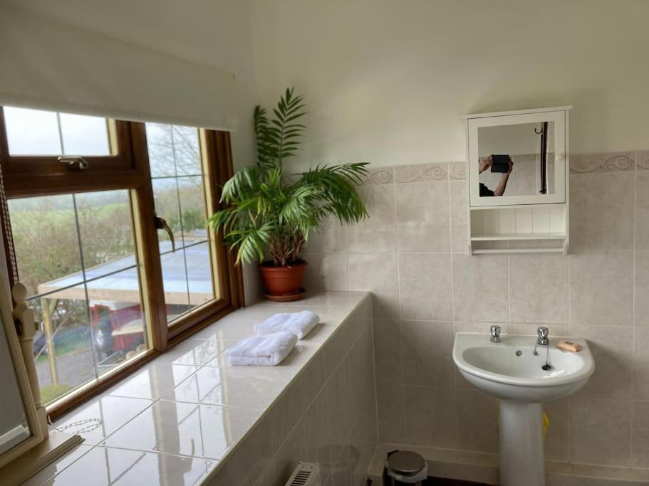 Bryntirion Farmhouse Rooms Llanfair Caereinion Luaran gambar